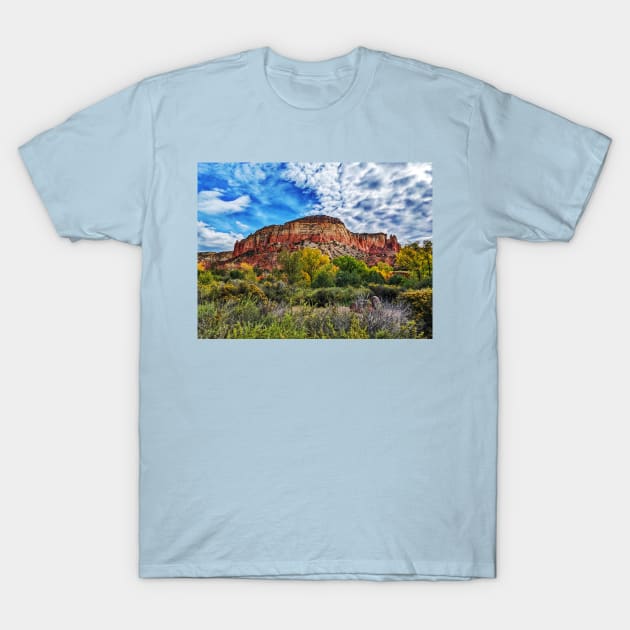 Kitchen Dome T-Shirt by thadz